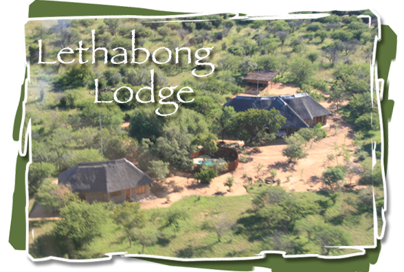 Lethabong